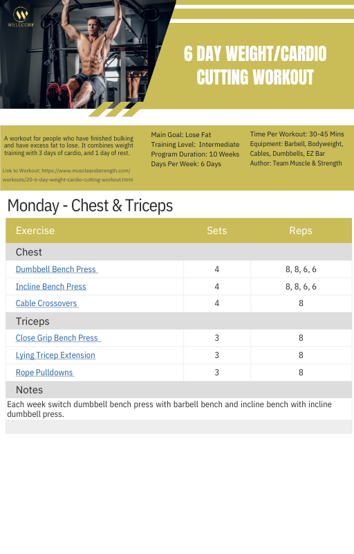 6 DAY WEIGHT/CARDIO CUTTING WORKOUT Program by Wellcorp