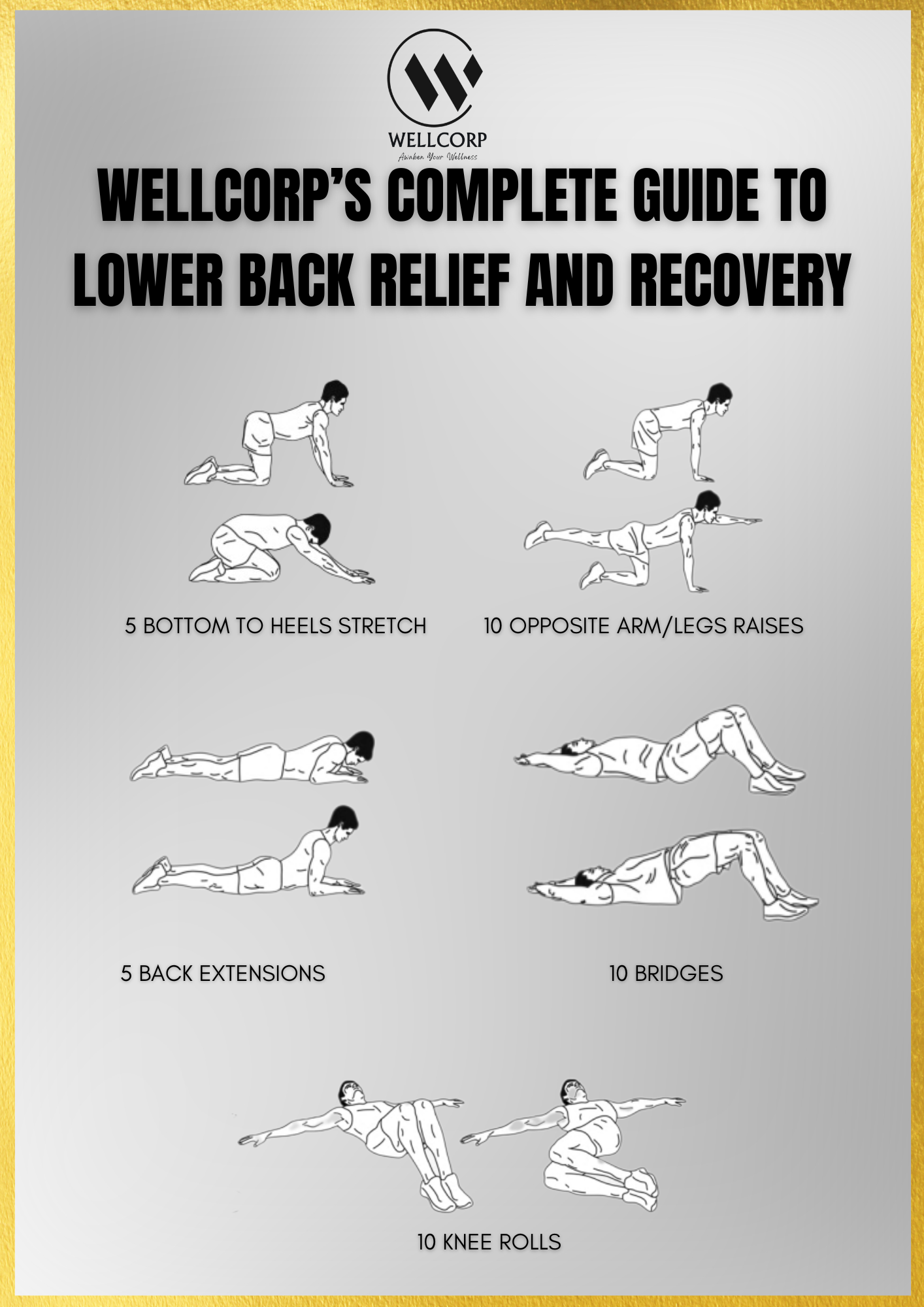 WellCorp’s Complete Guide to Lower Back Relief and Recovery